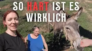 DAS sehen Touristen nicht/Tierhilfe in Albanien