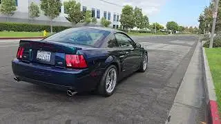 2004 Mystichrome Cobra Coupe