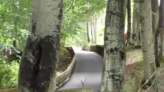 Jonathon Varley  1st Top 12 Run off Doune Hillclimb Sept 2018