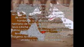 Resumen del libro 