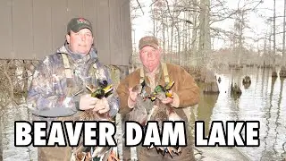 Beaver Dam Lake Mississippi 🦆