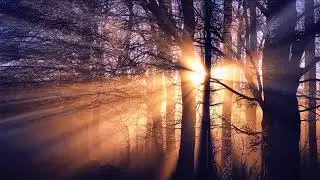 [Best Non Copyrighted Music]  Dream in imaginary land of Cassandra - danydory