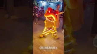 Lion dance boy