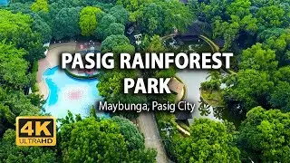 [4K] Pasig Rain Forest | Walking Tour | Island Times