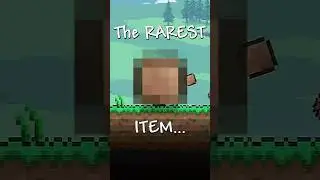 The RAREST Item In Terraria... #terraria #shorts