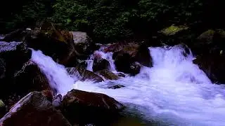 Calm Focus Background with Continuous Mountain River Flow, Soft White Noise
