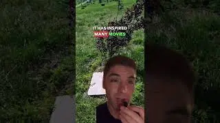 Did you know this cemetery in Kansas is a gateway to HELL? 😱 #shorts