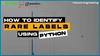 IDENTIFYING RARE LABELS FOR CATEGORICAL VARIABLE | PYTHON