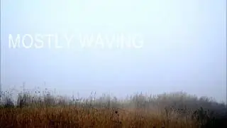 Emily Haines & the Soft Skeleton - Mostly Waving