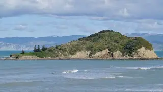 Tuamotu Island Gisborne