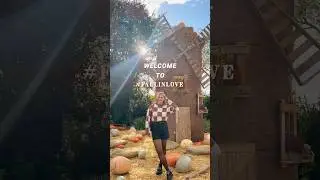 Die Herbst Videoreihe ist zur&uuml;ck! #FallinLove 😍🍁🧡 Jeden Tag Herbst Vibes ab sofort 🫶 #DominoKati