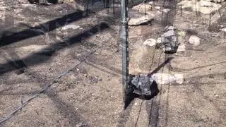 Post Wildfire Restoration