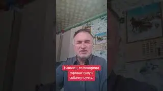 День прожит не зря. Накормил бездомную душу.