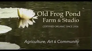 Agriculture, Art & Community at Old Frog Pond Farm