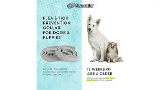 Dog Flea Tick Prevention Collar Review: Is 24-Month Protection Worth It for Your Pet?