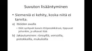 Kasvien suvullinen ja suvuton lisääntyminen