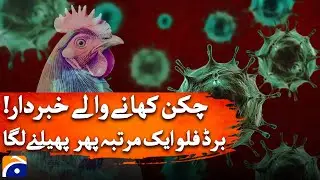 Chicken Lovers BEWARE! Deadly Bird Flu Returns in Iran - Geo News