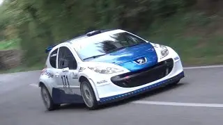 CIVIDALE CASTELMONTE 2020 IGOR ZBOGAR PEUGEOT 207 S2000
