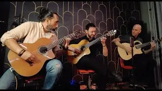 Sineterra (Live @ Barrilito NYC!)