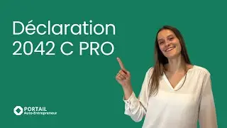 D&eacute;claration 2042 C Pro