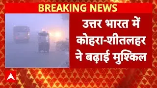 Cold Wave: उत्तर प्रदेश में कोहरे और ठंड  का रेड अलर्ट जारी | Weather | IMD Alert | Breaking