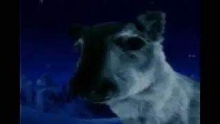 22 01 2004 NOKIА