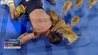 When AI Ruins Perfect Boxing Knockouts