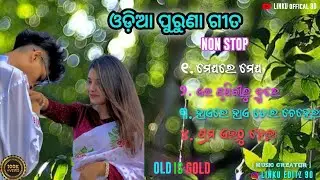 Old Album Song || Old Album Song Odia || Odia New Love Song 🥰 Old Is Gold 💫 Odia Old Lofi Songs