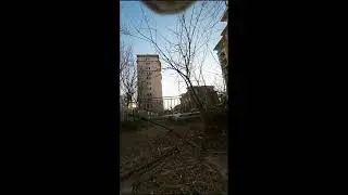 Cat Backyard Expedition 🐾 Real-Time POV