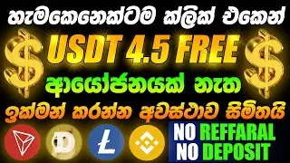 How To Earn USDT Online Sinhala | Earn Money Online Sri Lanka | E Money JOB 2022 | CRYPTO WITH NISHI