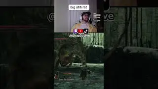 Royal Rat Authority Boss Fight #darksouls2 #darksouls #gamer #streamer #twitch #twitchstreamer #fyp
