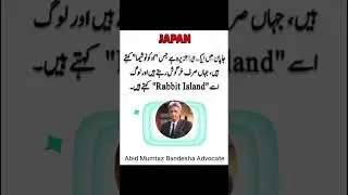 Japan #videos #shorts #trending