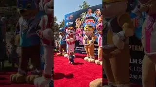 200+ Dogs Saw Paw Patrol the Mighty Movie #shorts #pawpatrolmovie #cutedogs