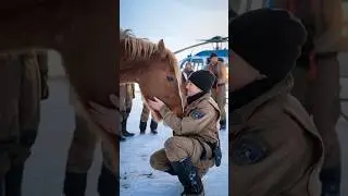 Bella&rsquo;s Second Chance: The Heartwarming Rescue of a Wild Mustang #rescueme #myrescue #animals