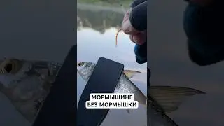 #251 #мормышинг | МОРМО БЕЗ МОРМЫШКИ | Разнесенка | Разнесенный монтаж 0.4 гр. |
