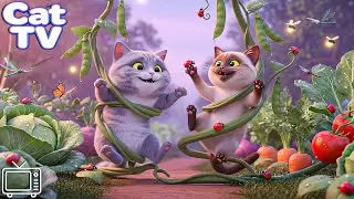 Cartoon for Cats to Watch: ULTIMATE ENTERTAINMENT & RELAXING 3D CAT VIDEOS FOR CATS | BEST CAT TV