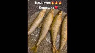 Очень вкусная корюшка❤️ #дневникаборигена #indigenous #food #cooking #fish #folk
