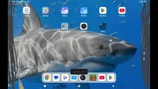 Sorry put the cc on in the settings