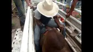 baiano vs jucelino cia de rodeio pesquiro vitoria