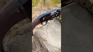 This shotgun surprised me 👍