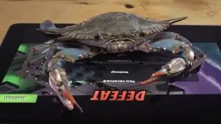 Real Crab Vs Mega Crab | Boom Beach