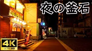 三陸・釜石　野生動物に出会った夜　Kamaishi, Sanriku The night I met wild animals