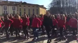 Flash mob - One Billion Rising  - Lodi 14 Febbraio 2019
