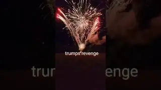 TRUMPS 🇺🇸 REVENGE 258 SHOT FIREWORK CAKE #fireworks #demo #shorts