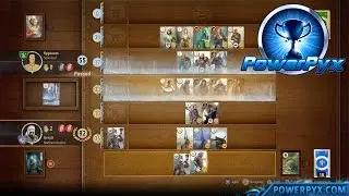 The Witcher 3 Wild Hunt - Gwent Master Trophy / Achievement Guide (High Stakes Side Quest)