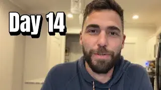 Two weeks in. Day 14. 