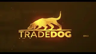 Dash Lite Report Teaser