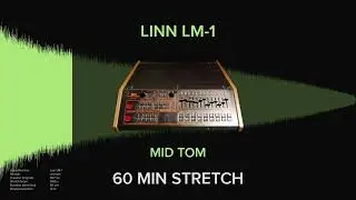 Linn LM-1 Mid Tom (1 HOUR)