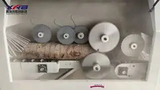 Log multi-blade saw
