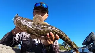18 flathead solo session fishing the Jumpinpin